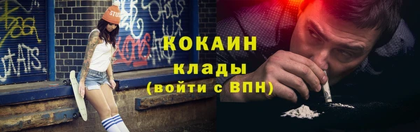 дмт Архангельск