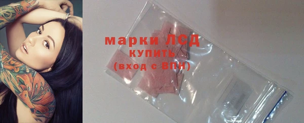 гашик Волосово