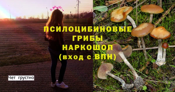 гашик Волосово
