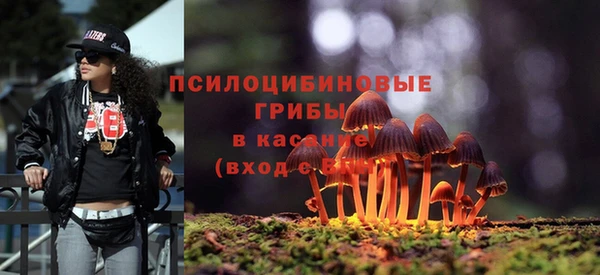 гашик Волосово