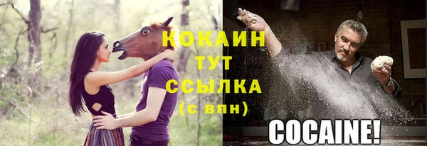 гашик Волосово