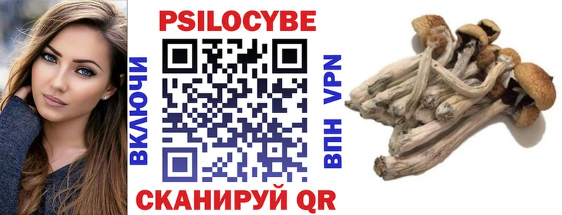 Галлюциногенные грибы Cubensis  MEGA ТОР  darknet Telegram  дарнет шоп  Черноголовка 